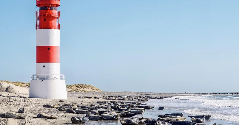 Réserver une nuit dans un phare : les coulisses que personne ne raconte