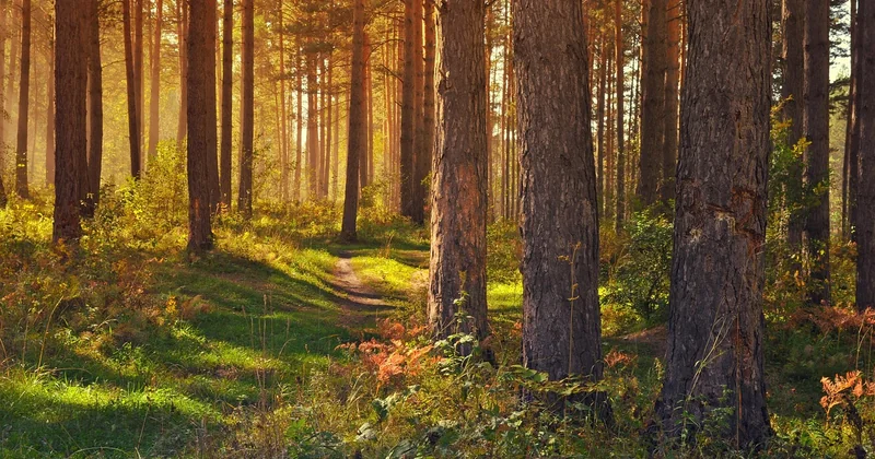 Un week-end nature, ça coûte quoi au juste ?