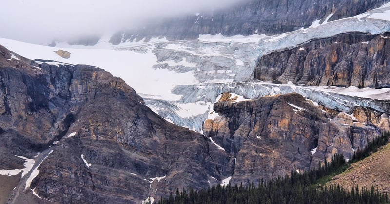 Les plus beaux parcs nationaux pour observer la faune sauvage