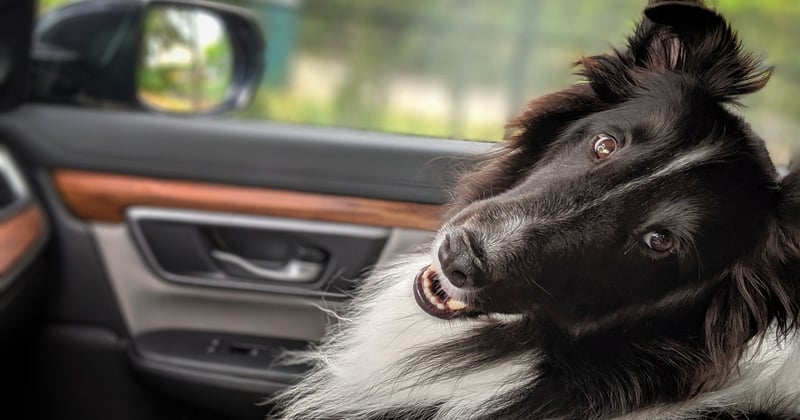 Road trip en famille : itinéraire et conseils pour des vacances inoubliables