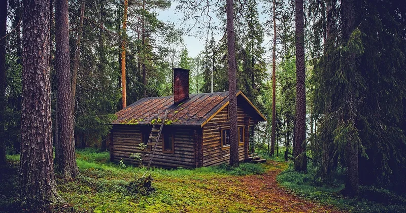 Où trouver une cabane dans les arbres en Bretagne selon vos envies